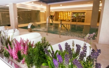 Suitopia Spa Calpe
